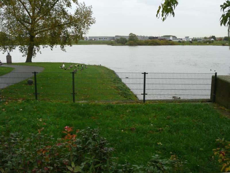 De Zilveren Karper IJsselmuiden Exteriér fotografie